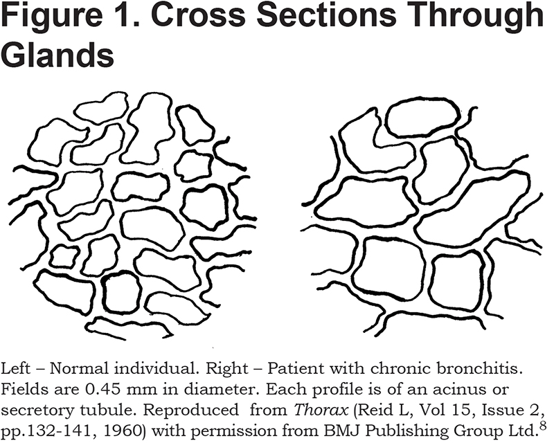 JCOPDF-2020-0135-Figure1