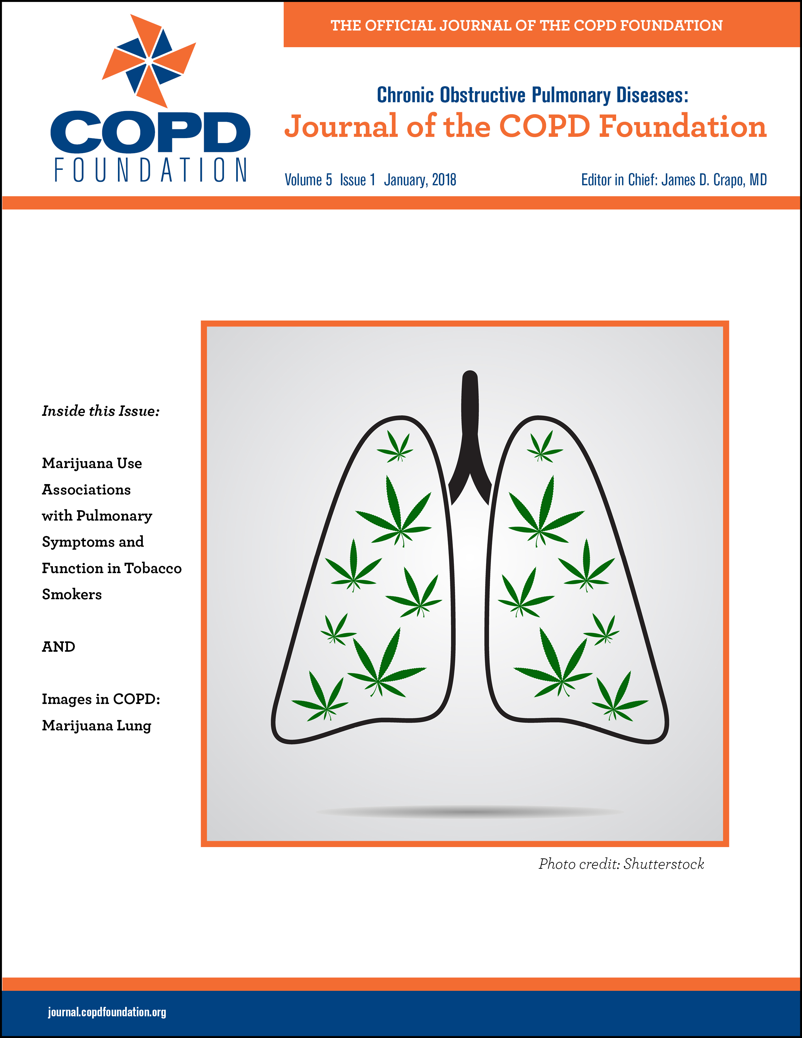 JCOPDF Current Issue