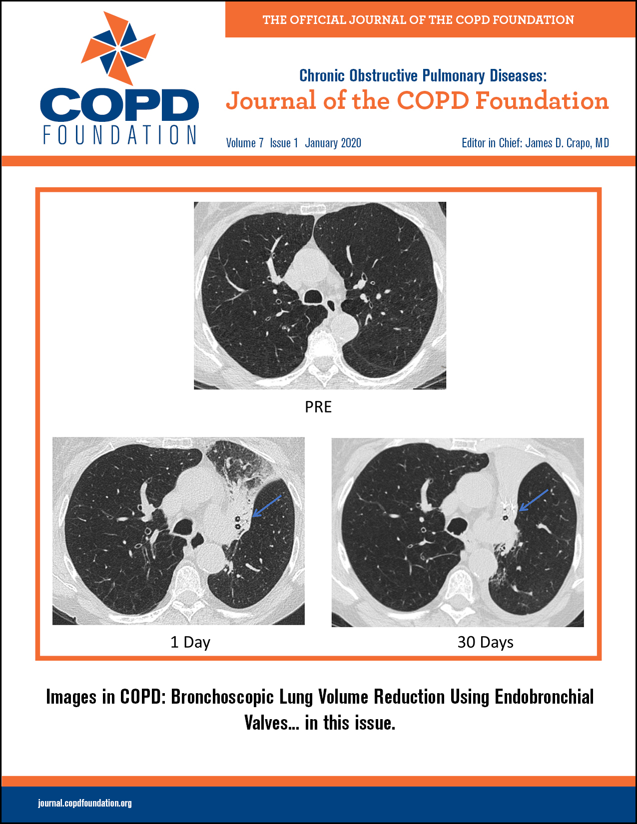 JCOPDF Current Issue
